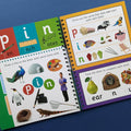 Educational book with colorful pages on a blue background