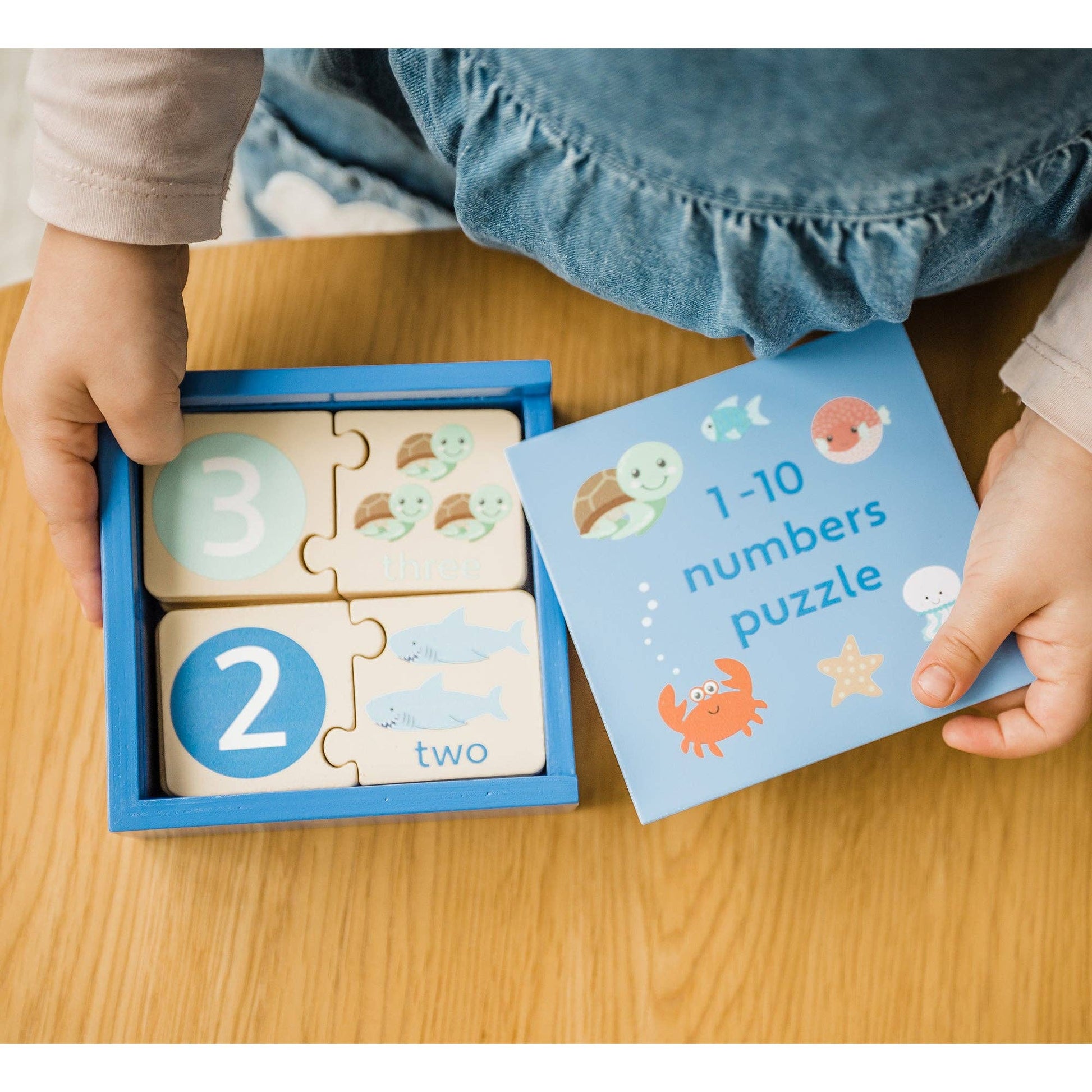 Early Learning Number Puzzle