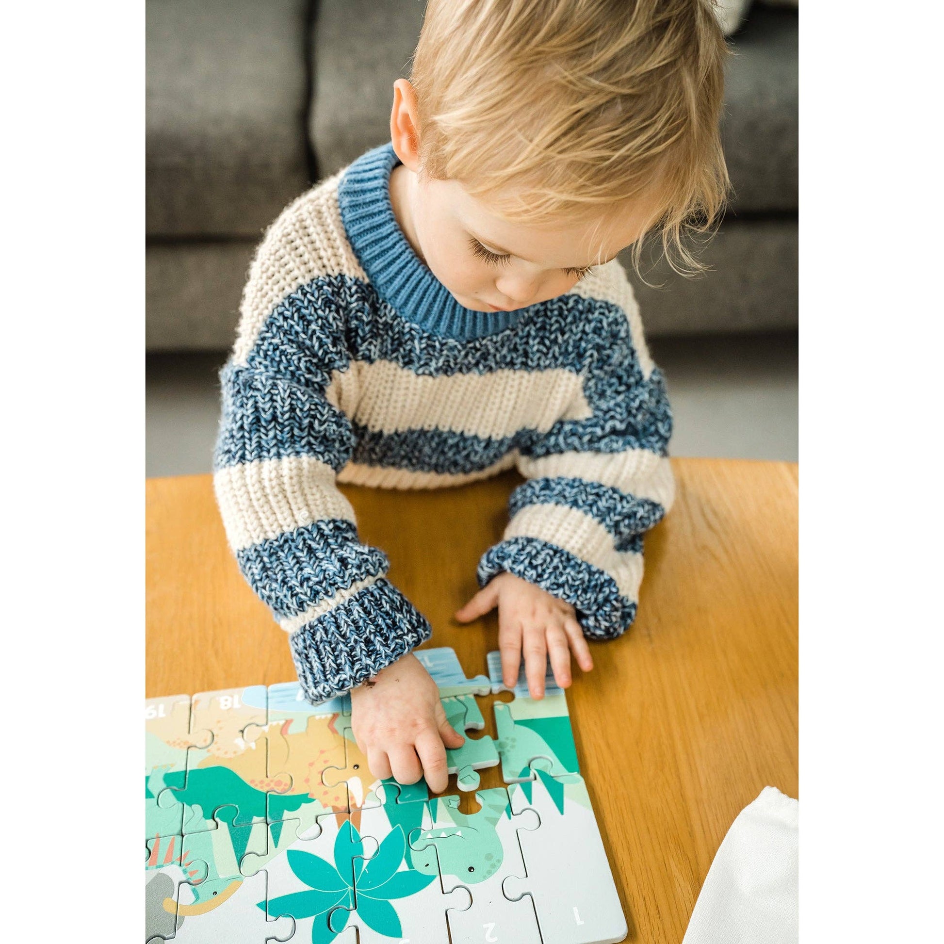 Toddler educational dinosaur puzzle