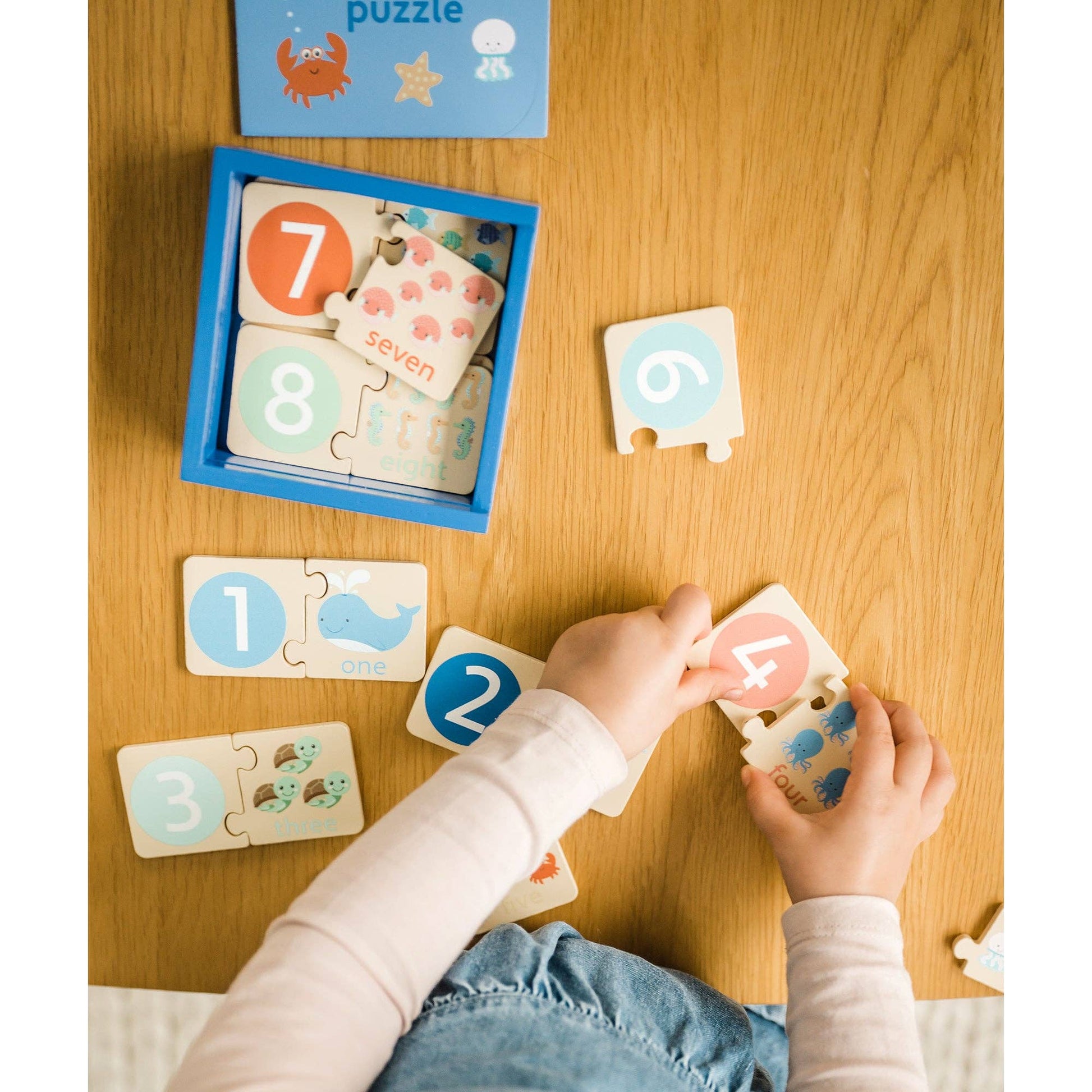 Counting Puzzle in Wooden Box