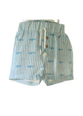 Striped shorts with a striped and classic car pattern on a white background