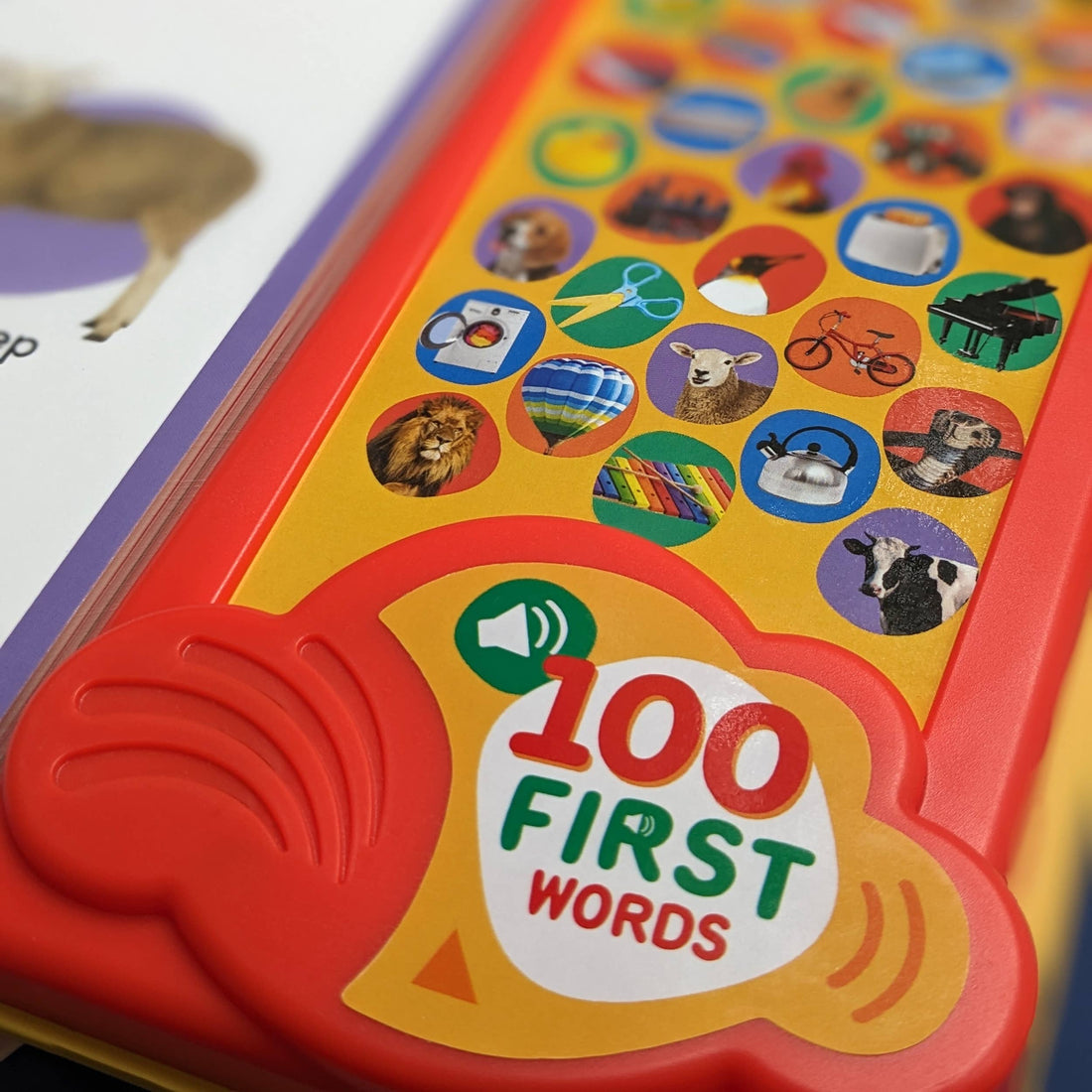 50 Button Photo Sound Book -100 First Words