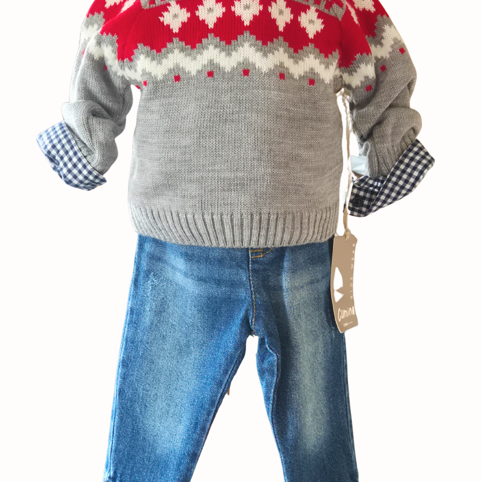 Children's outfit with gray sweater, red and white pattern, blue jeans, and checkered shirt on a mannequin.